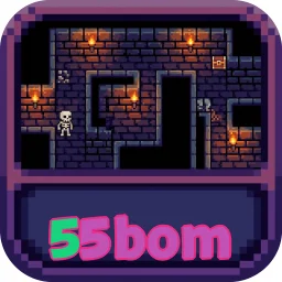 55bom
